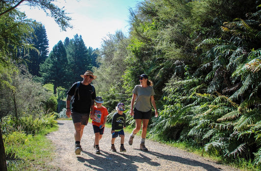 Best Affordable Hiking Footwear For The Entire Family